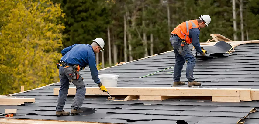 Agricultural Roof Maintenance Hanover Park