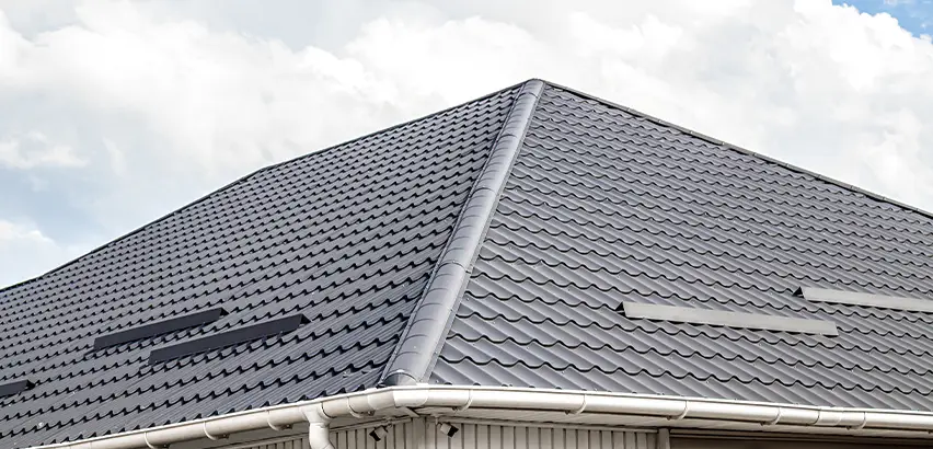 Roof Gully Repair in Hanover Park
