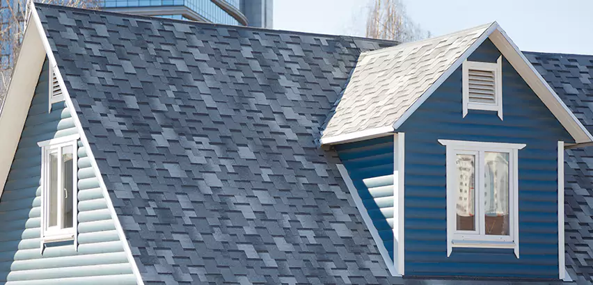 Shingle Roof Maintenance in Hanover Park