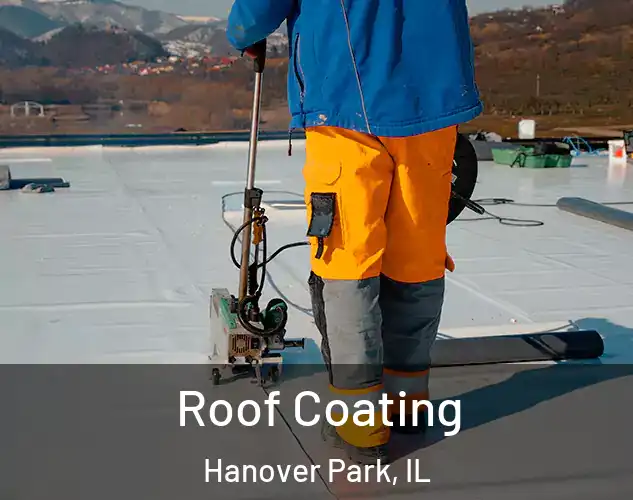  Roof Coating Hanover Park, IL