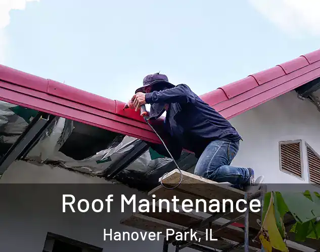  Roof Maintenance Hanover Park, IL
