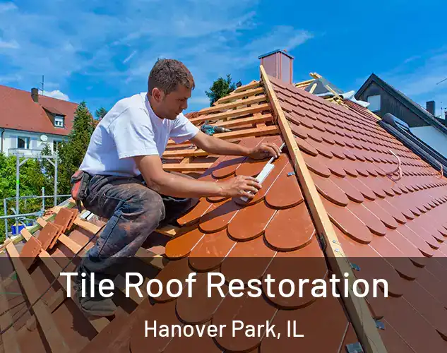  Tile Roof Restoration Hanover Park, IL